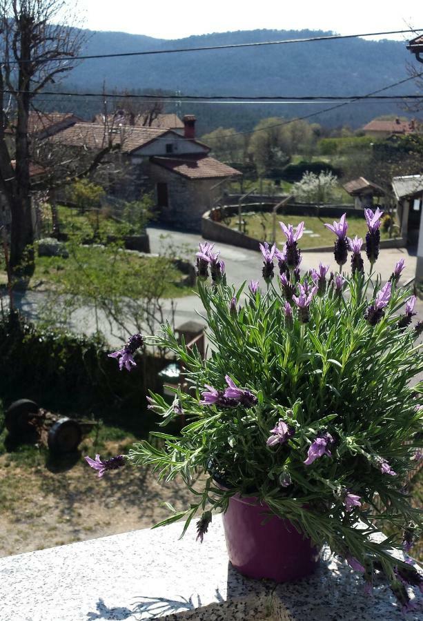 Pliskovica Moonflower מראה חיצוני תמונה